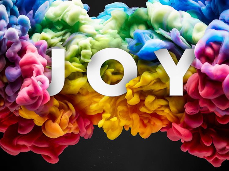 London Chamber Orchestra - Joy