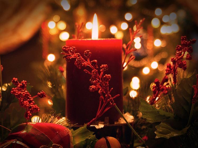 English Chamber Orchestra - Christmas with Vivaldi