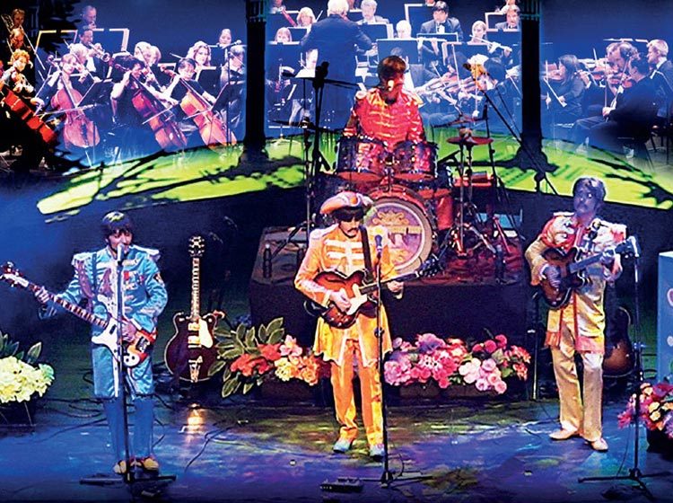 All You Need Is Love