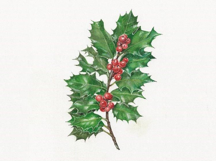 London Concert Choir presents Carols for Choir and Audience