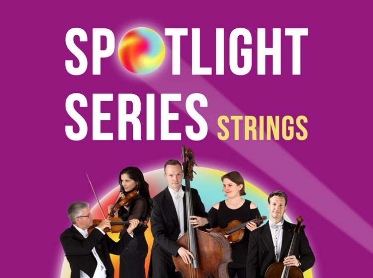 Spotlight-Series-strings-CAD750x560