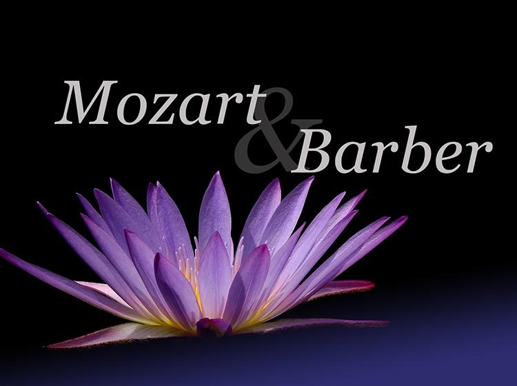 English Chamber Orchestra - Mozart & Barber