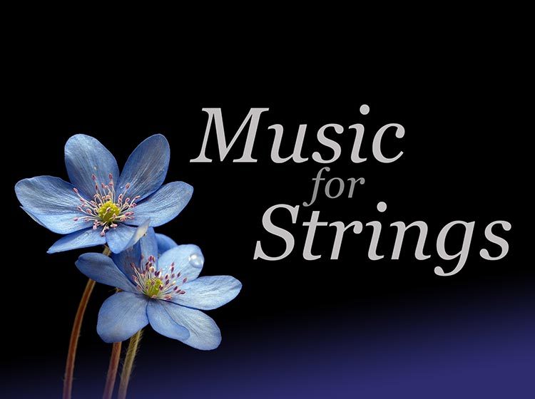 English Chamber Orchestra - Music for Strings