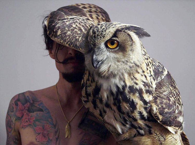 Justin Hawkins holding an owl with its wing over his head