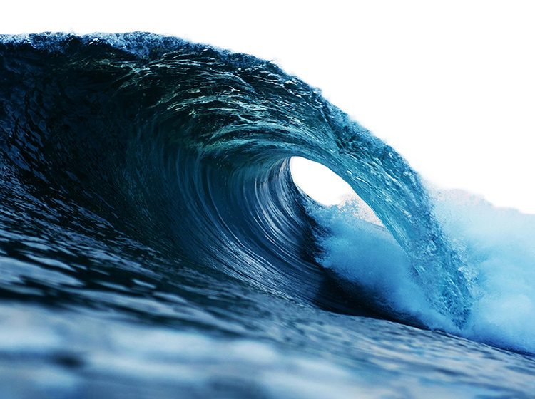 A photo of a wave forming a tunnel